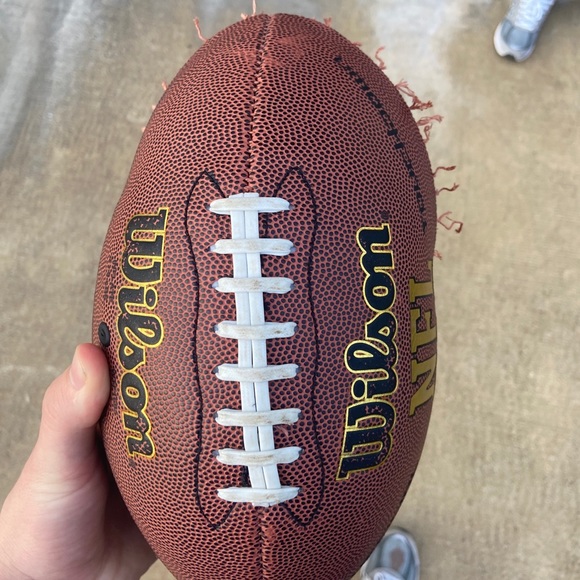 Meet your Posher, Peyton - Picture 1 of 1